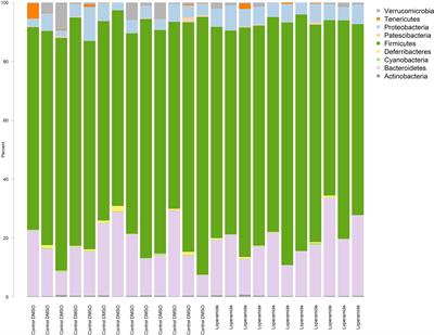 Slowed gastrointestinal transit is associated with an altered caecal microbiota in an aged rat model